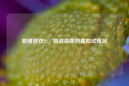 极难游戏22:挑战极限的虚拟试炼场