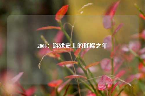 2004:游戏史上的璀璨之年
