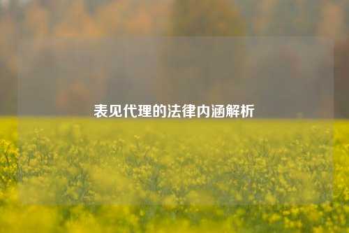 表见代理的法律内涵解析