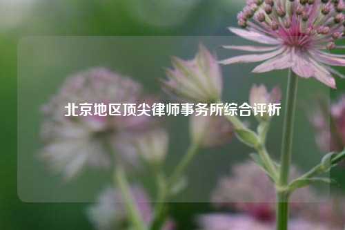 北京地区顶尖律师事务所综合评析